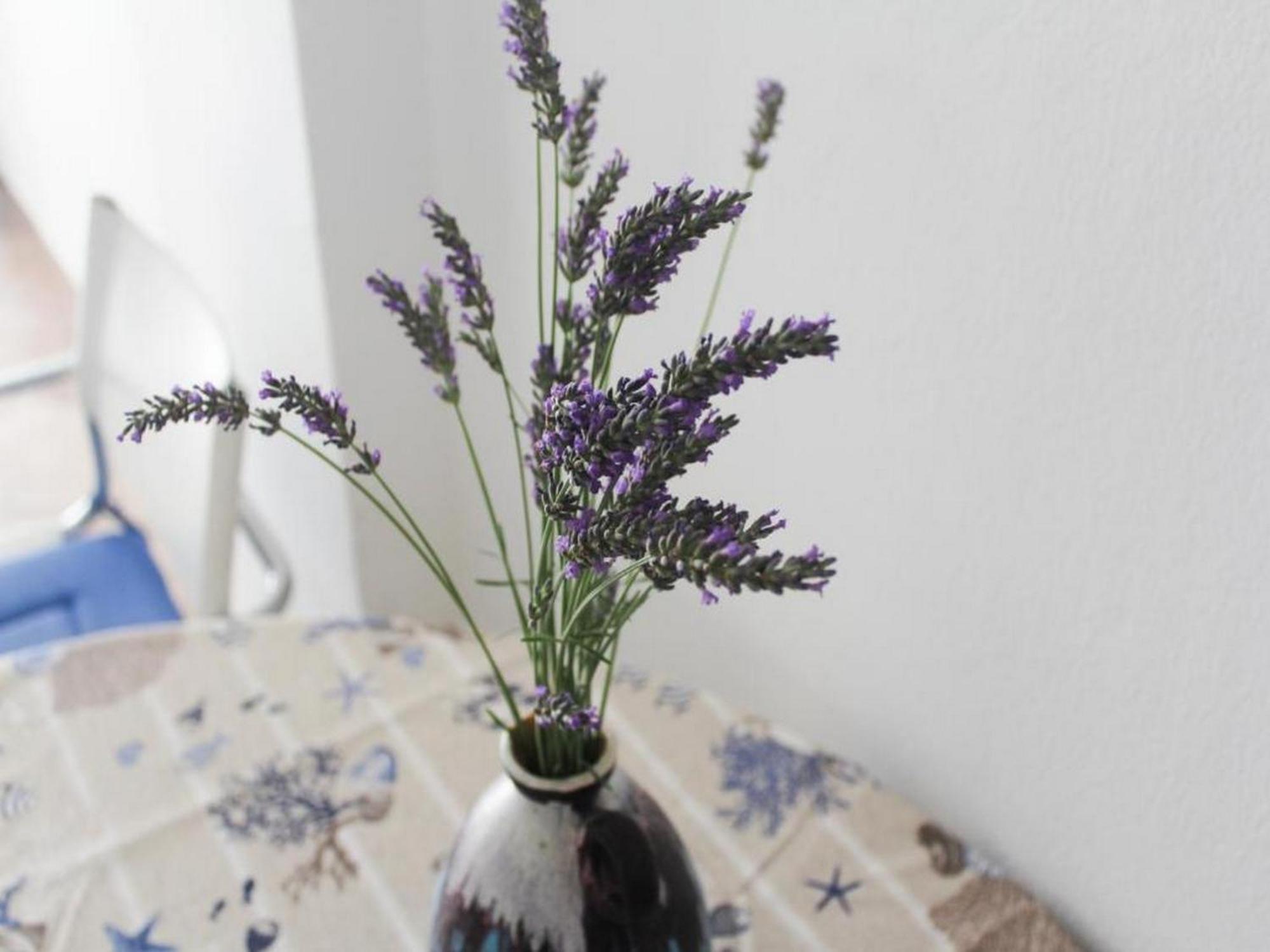 Apartmani Lucia Biograd Biograd Na Moru Quarto foto